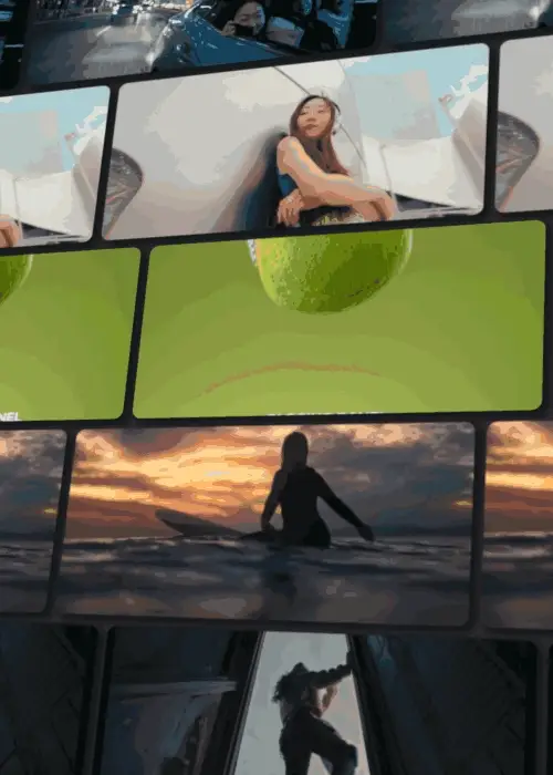 Transition Bundle - Image 2